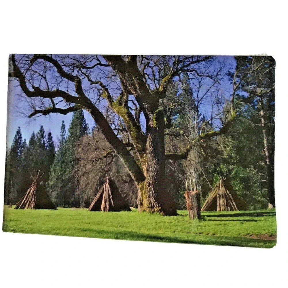 Collectible Photo Magnet Frank Balthis 2 x 3